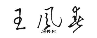 駱恆光王風春草書個性簽名怎么寫