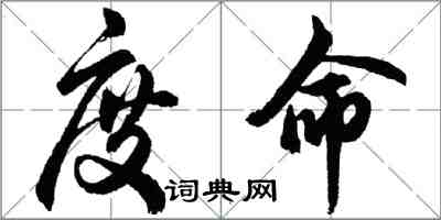 胡問遂度命行書怎么寫