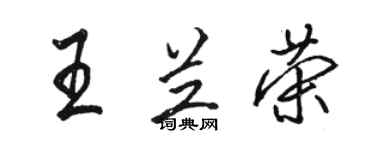 駱恆光王蘭榮行書個性簽名怎么寫