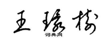 梁錦英王環樹草書個性簽名怎么寫