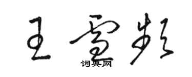 駱恆光王雪頻草書個性簽名怎么寫