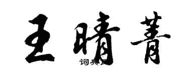 胡問遂王晴菁行書個性簽名怎么寫