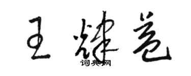 駱恆光王輝益草書個性簽名怎么寫