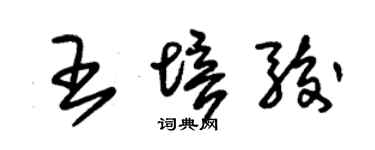 朱錫榮王培駿草書個性簽名怎么寫