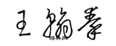 駱恆光王翰秦草書個性簽名怎么寫