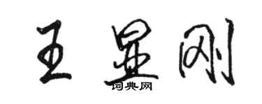 駱恆光王顯剛行書個性簽名怎么寫