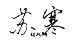 駱恆光蘇寒行書個性簽名怎么寫