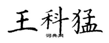 丁謙王科猛楷書個性簽名怎么寫