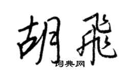 王正良胡飛行書個性簽名怎么寫