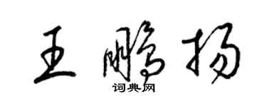 梁錦英王鵬揚草書個性簽名怎么寫