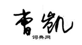 朱錫榮曹凱草書個性簽名怎么寫