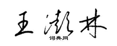 梁錦英王澎林草書個性簽名怎么寫