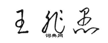 駱恆光王非愚草書個性簽名怎么寫