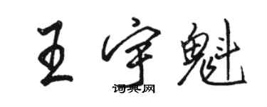 駱恆光王宇魁行書個性簽名怎么寫