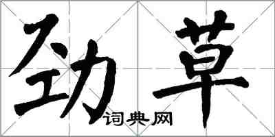 翁闓運勁草楷書怎么寫