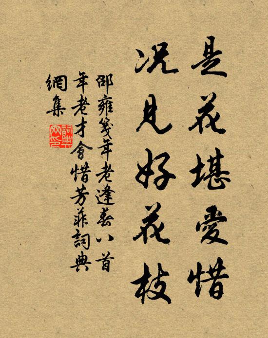 文士莫辭花，詩人命屬花 詩詞名句