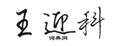 駱恆光王迎科行書個性簽名怎么寫