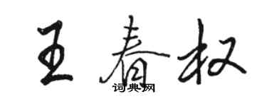 駱恆光王春權行書個性簽名怎么寫