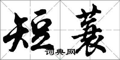 胡問遂短蓑行書怎么寫