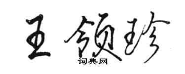 駱恆光王領珍行書個性簽名怎么寫