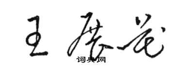 駱恆光王展花草書個性簽名怎么寫