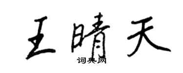 王正良王晴天行書個性簽名怎么寫