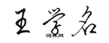 駱恆光王學名行書個性簽名怎么寫