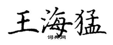 丁謙王海猛楷書個性簽名怎么寫