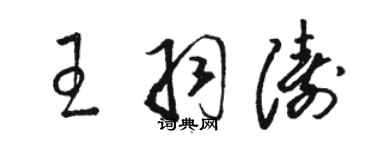 駱恆光王羽濤草書個性簽名怎么寫