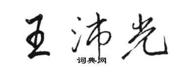 駱恆光王沛光行書個性簽名怎么寫