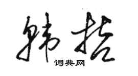 駱恆光韓哲草書個性簽名怎么寫