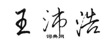 駱恆光王沛浩行書個性簽名怎么寫