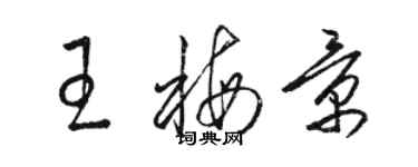 駱恆光王梅景草書個性簽名怎么寫