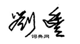 朱錫榮劉豐草書個性簽名怎么寫