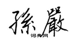 王正良孫嚴行書個性簽名怎么寫