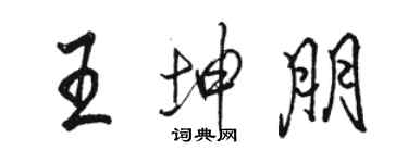 駱恆光王坤朋行書個性簽名怎么寫