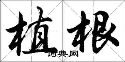 胡問遂植根行書怎么寫