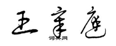 曾慶福王章庭草書個性簽名怎么寫