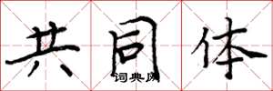 周炳元共同體楷書怎么寫