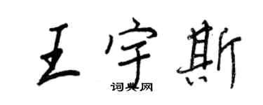 王正良王宇斯行書個性簽名怎么寫