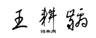 梁錦英王耕齲草書個性簽名怎么寫