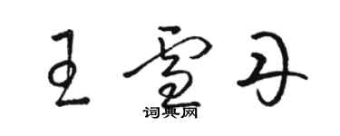 駱恆光王雪丹草書個性簽名怎么寫