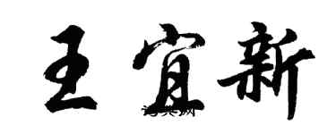 胡問遂王宜新行書個性簽名怎么寫