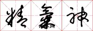 朱錫榮精氣神草書怎么寫