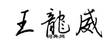 王正良王龍威行書個性簽名怎么寫