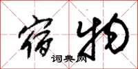朱錫榮宿物草書怎么寫