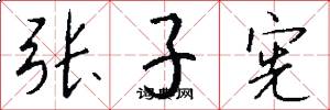 張子憲怎么寫好看