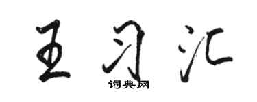 駱恆光王習匯行書個性簽名怎么寫