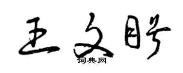 曾慶福王文盼草書個性簽名怎么寫