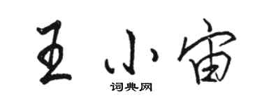 駱恆光王小宙行書個性簽名怎么寫